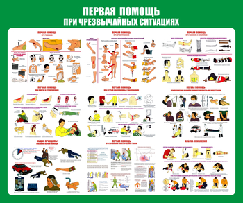 С20-1 Стенд Оказание первой помощи при ЧС (670х800 мм, пластик ПВХ 3 мм, алюминиевый багет золотого цвета) - Стенды - Стенды по первой медицинской помощи - . Магазин Znakstend.ru